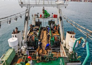 Produce transfiere S/ 2.5 millones a Imarpe para exploración pesquera