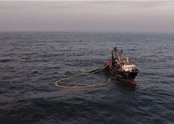 En el nombre de la Soberanía