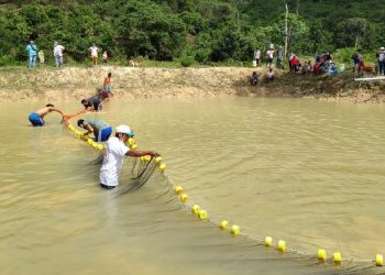 San Martín: 390 piscicultores de Uchiza promovidos por Devida inician primera cosecha de peces amazónicos