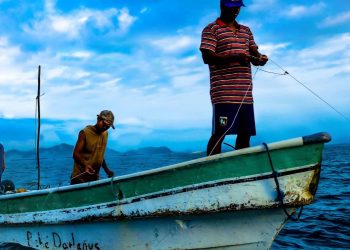 Arequipa: hay más de 6 mil personas dedicadas a la pesca en la región