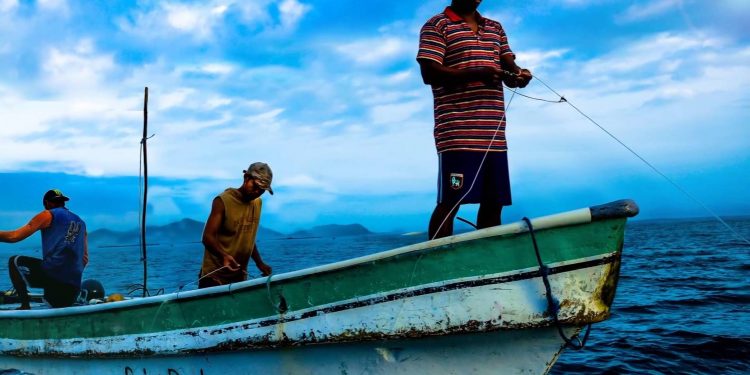 Arequipa: hay más de 6 mil personas dedicadas a la pesca en la región