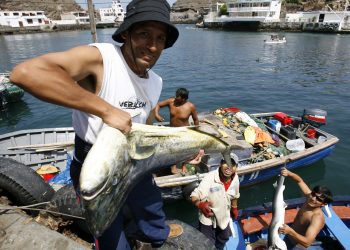 Imarpe ejecutará pesca exploratoria del recurso perico