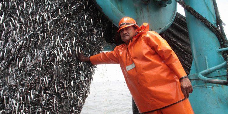 INEI informó que la producción pesquera aumentó 48.05% en junio