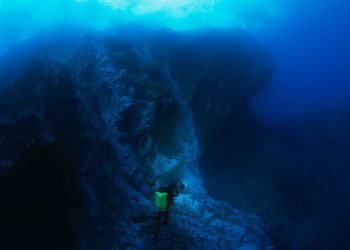 ¿Qué es la Dorsal de Nazca y por qué debemos protegerla?