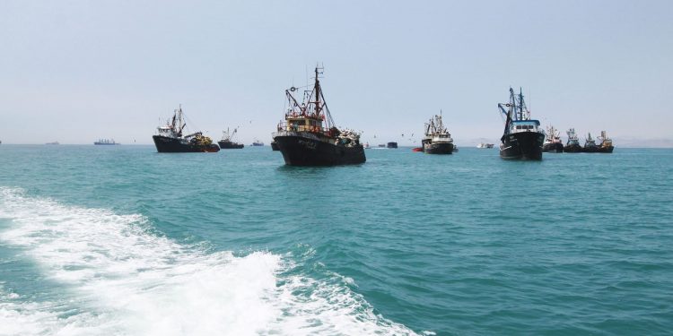 Perú: pesca creció 94.1% en julio y se vislumbra recuperación del sector