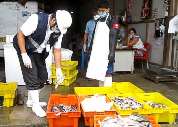 Perú y Colombia intercambian experiencias para fortalecer capacidades de fiscalización sanitaria
