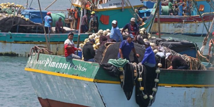 Estudio indica que aumento explosivo de la flota artesanal ha empobrecido a los pescadores peruanos
