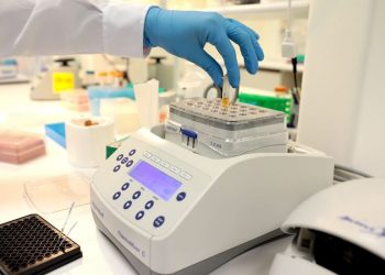 SNP: industria pesquera financiará validación de pruebas moleculares rápidas