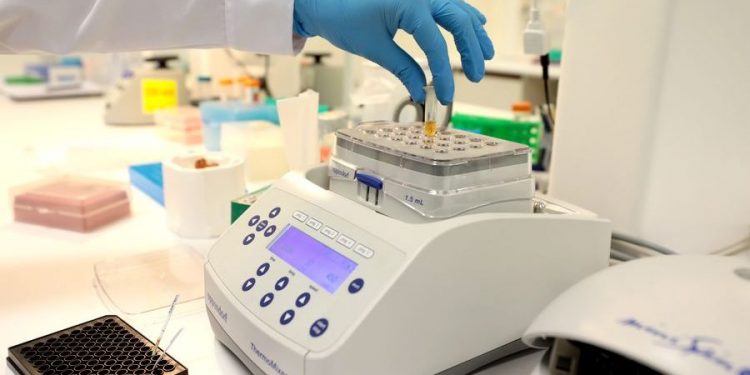 SNP: industria pesquera financiará validación de pruebas moleculares rápidas