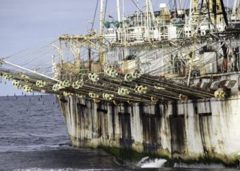 Satélites revelan que barcos chinos estuvieron cerca de Galápagos pese a que China anunció que prohibiría pesca