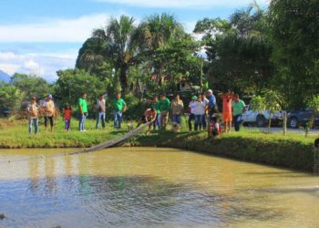 Devida destinará 1.5 millones de soles para mejorar la producción de peces en Huánuco