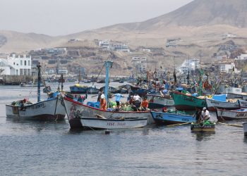 Produce incrementó la cuota de captura del bonito a 88 mil toneladas