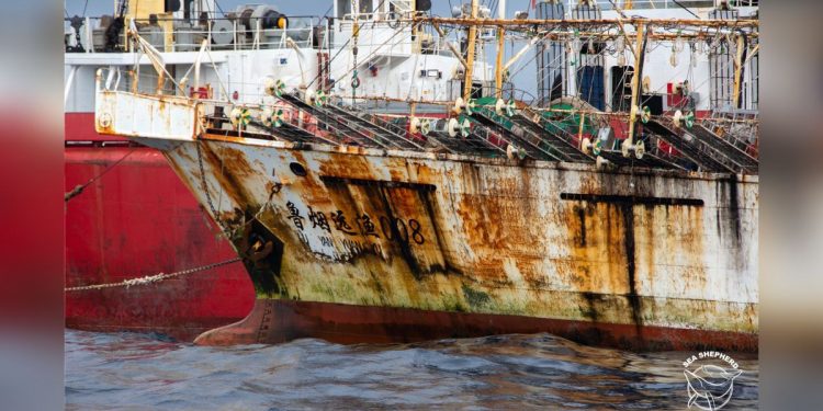 La pesca ilegal y no reportada en alta mar