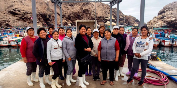 Coronavirus en Perú: ¿cómo enfrentan la crisis las mujeres pescadoras que siguen en cuarentena?