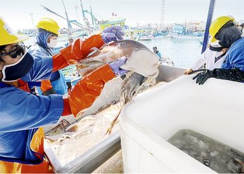 Produce permite fraccionamiento del pago de multa en pesca