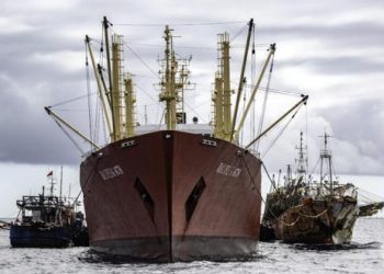Chile: se encendieron las alarmas por megaflota china acusada de dedicarse a la pesca ilegal