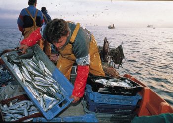 Produce: 54.29% de pescadores artesanales tendrá carné de pescador en julio de 2021