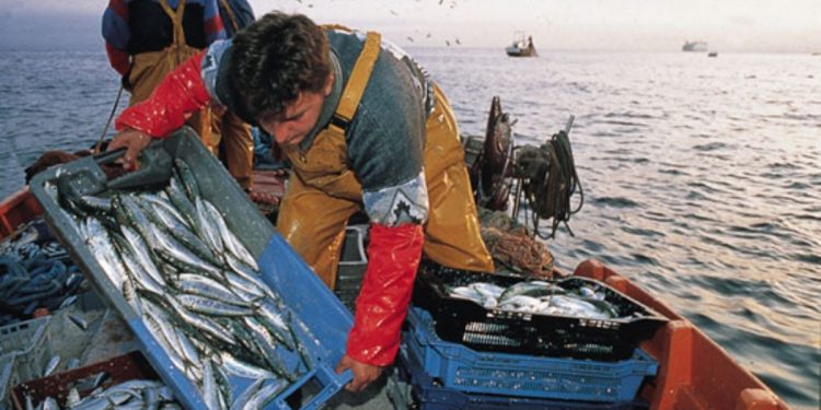 Produce: 54.29% de pescadores artesanales tendrá carné de pescador en julio de 2021