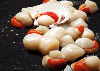 Exportadores pesqueros acordaron negocios por U$45 millones con Europa