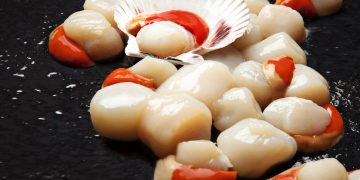 Exportadores pesqueros acordaron negocios por U$45 millones con Europa