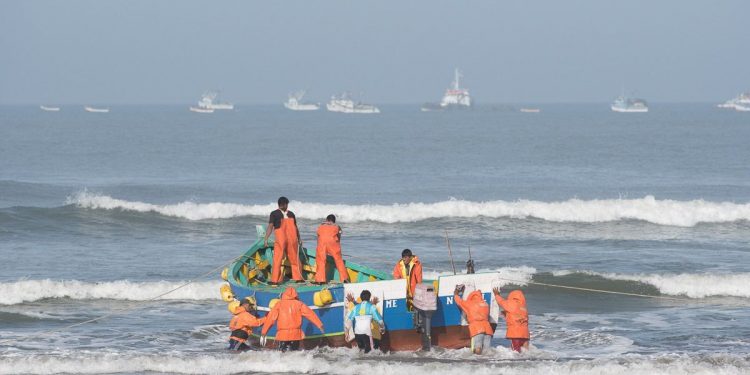 Los impactos del coronavirus hoy en la pesca