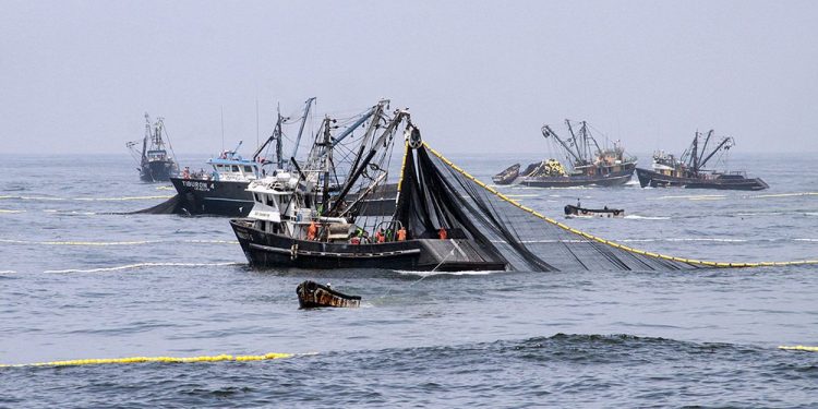 Ofrecen becas para programa en manejo de herramientas de propiedad intelectual en el sector pesquero