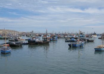 Alto en tolerancia: no más pesca ilegal