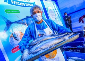 Nutricionistas recomiendan consumir pescado dos veces por semana