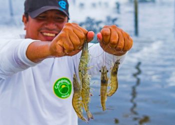 Ministerio de la Producción cofinancia 11 proyectos para reactivar pesca y acuicultura en Moquegua