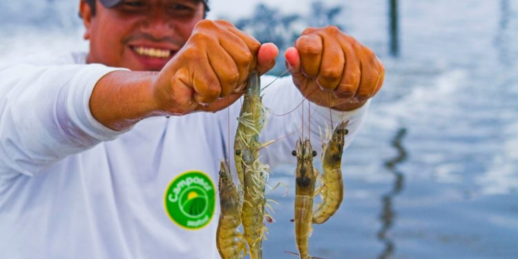 Ministerio de la Producción cofinancia 11 proyectos para reactivar pesca y acuicultura en Moquegua