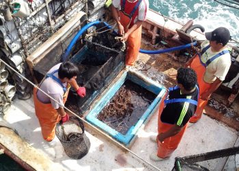 Empleo en el sector exportador se recupera lentamente