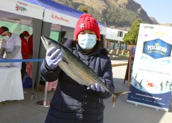 A comer (más) pescado