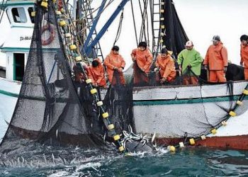 Los pescadores del Yangtsé, obligados a buscar otro medio de vida