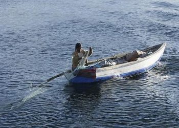 Perú y Bolivia suman esfuerzos para evitar disminución de peces nativos del Titicaca