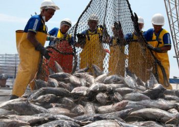 Londres: la pesca, gran “manzana de la discordia” en discusiones posbrexit