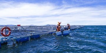 No nos disparemos a los pies