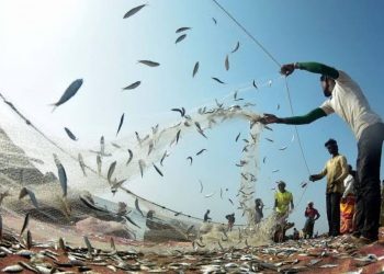 Ministerio de la Producción: fin de segunda temporada de pesca busca proteger recurso