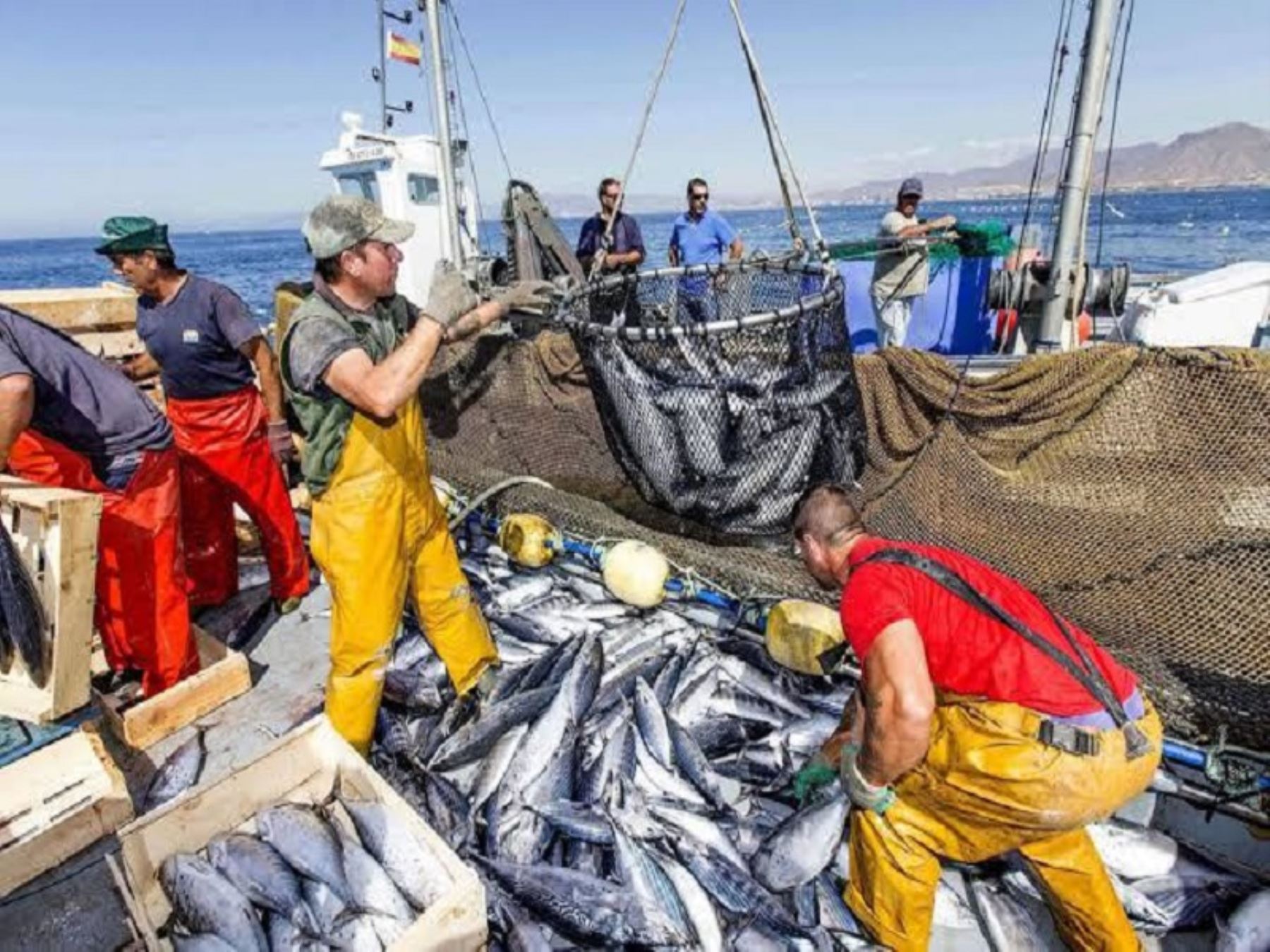 Produce establece límites de pesca para jurel y caballa – Revista Pesca &  Medio Ambiente
