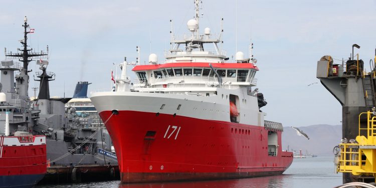 Dorsal de Nasca: diario El País de España resalta biodiversidad en la cordillera marina del Perú