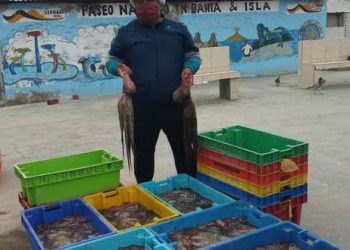 Precio del pescado sube en Lima: ¿Qué plantean los restaurantes marinos para reducir el impacto?