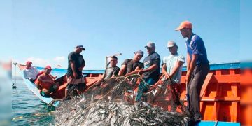 Propuesta para el desarrollo de la pesca artesanal en Perú