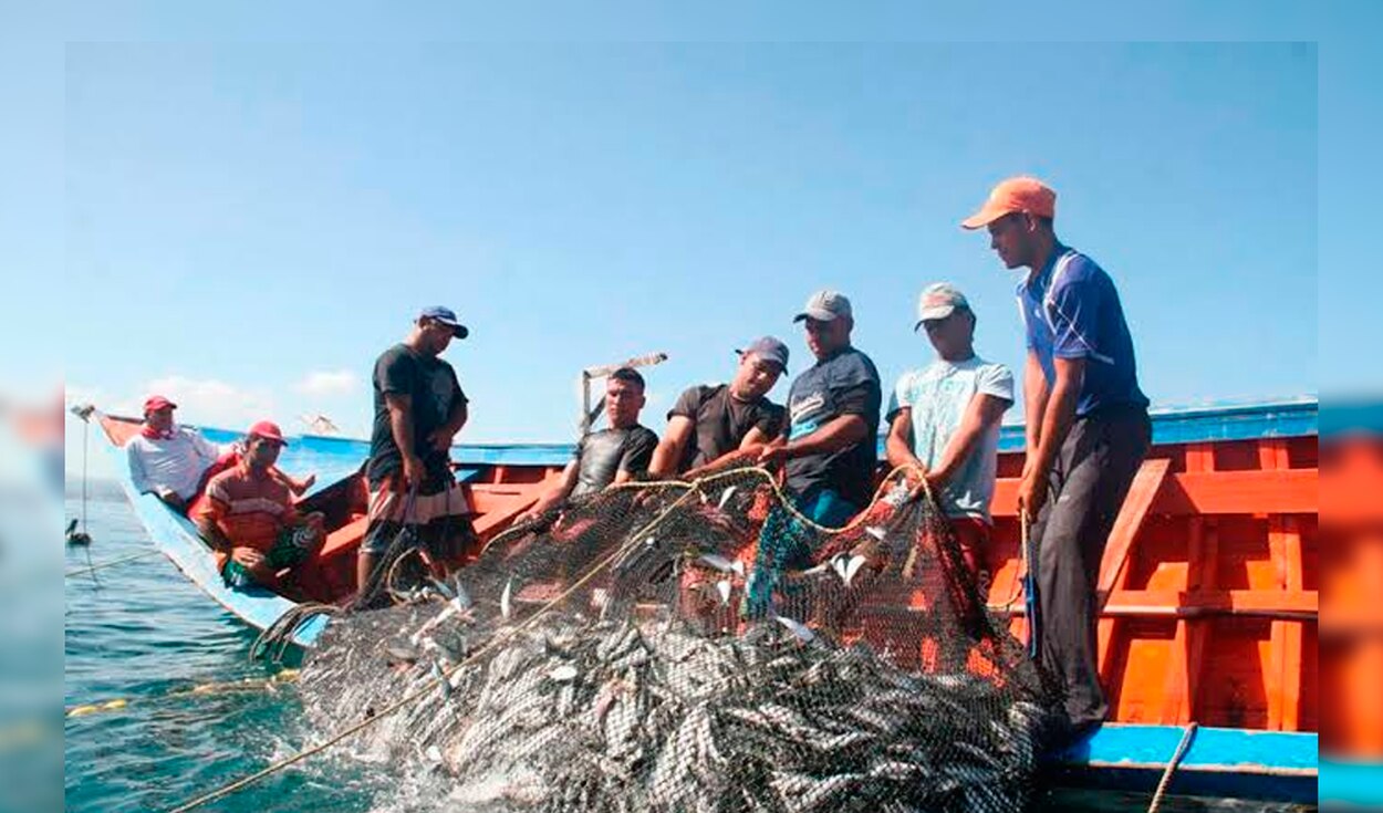 Propuesta para el desarrollo de la pesca artesanal en Perú