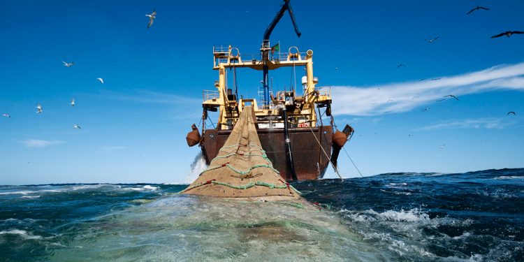 Brexit: tiempos turbulentos para los pescadores europeos