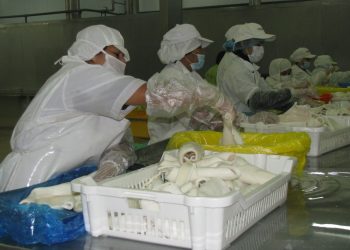 Sanipes: Perú emite certificados sanitarios de exportación hacia la Unión Europea