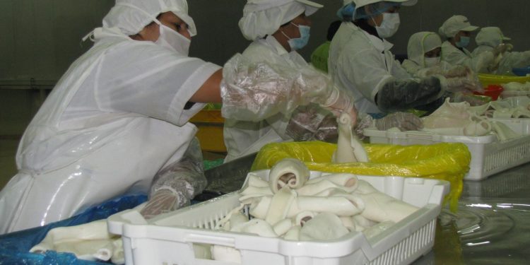 Sanipes: Perú emite certificados sanitarios de exportación hacia la Unión Europea