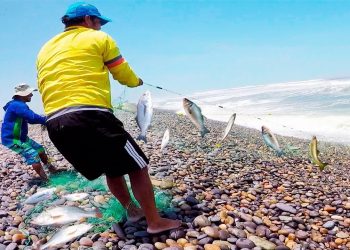 Lambayeque: asociaciones de pescadores no embarcados se capacitan para su formalización