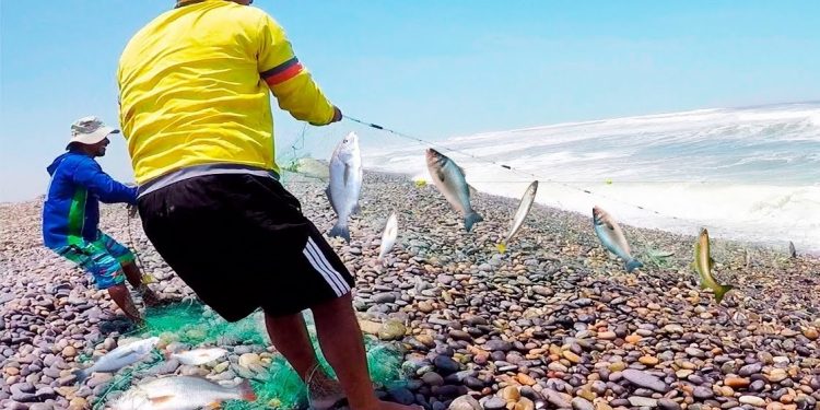 Lambayeque: asociaciones de pescadores no embarcados se capacitan para su formalización