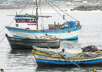 Ministerio de la Producción prevé colocar más de 1,500 toneladas de productos hidrobiológicos en 2021