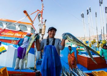 SSF Hub, la plataforma virtual para apoyar a los pescadores artesanales de todo el mundo