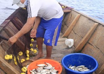 Analizan actividad pesquera en laguna Imiría, en Ucayali